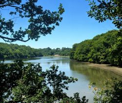 vente La maison en lisière de l'Odet