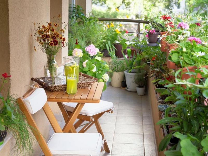 A louer APPARTEMENT NEUF T2 45 M2 TERRASSE  CASTELNAU LE LEZ