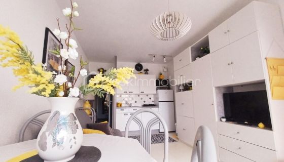 A louer STUDIO  25 M2 TERRASSE VUE MER LES SABLES D OLONNE