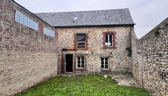 A vendre IMMEUBLE 250 m² CENTRE VILLE FECAM 