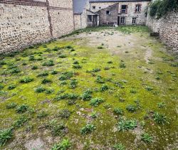 A vendre IMMEUBLE 250 m² CENTRE VILLE FECAM 