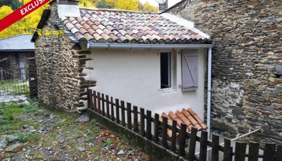 A louer MAISON  DE MAîTRE  SAINT ANDRE DE VALBORGNE