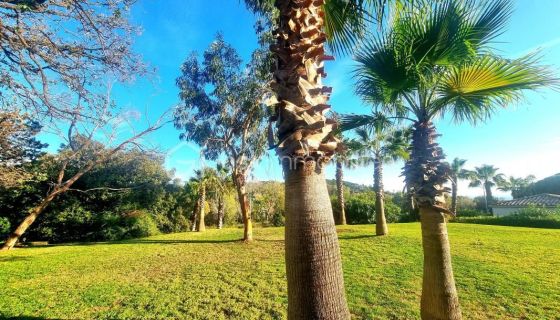 A louer STUDIO  28 M2 TERRASSE BORD DE MER LE CANNET