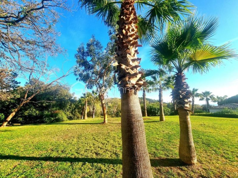 A louer STUDIO  28 M2 TERRASSE BORD DE MER LE CANNET