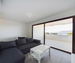 A louer APPARTEMENT T2 42 M2 TERRASSE PIEDS DANS L'EAU PIETROSELLA