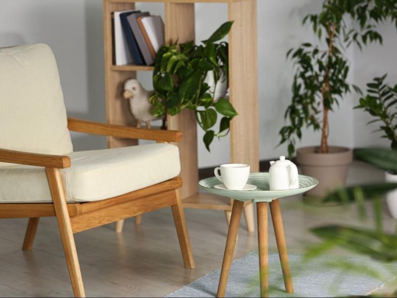 A louer APPARTEMENT T2 TERRASSE BORD DE MER MAUGUIO