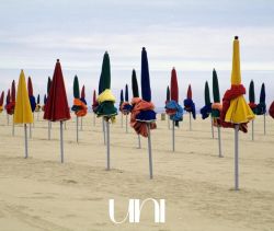 A louer APPARTEMENT T2 32 M2 BORD DE MER DEAUVILLE