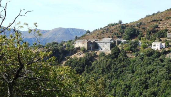 A vendre Somptueuse maison de MaItre vue 14 PIECES 350 M² BISINCHI 