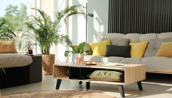 A louer APPARTEMENT NEUF T3 60 M2 TERRASSE  MONTPELLIER