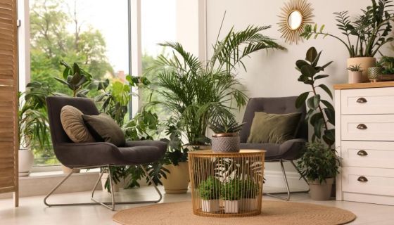 A louer APPARTEMENT NEUF T3 58 M2 TERRASSE  MONTPELLIER