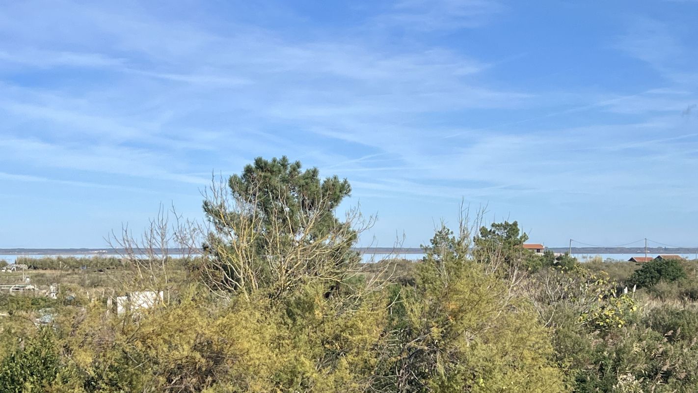 44a30470a5f6a09b79f79324d570cd3d