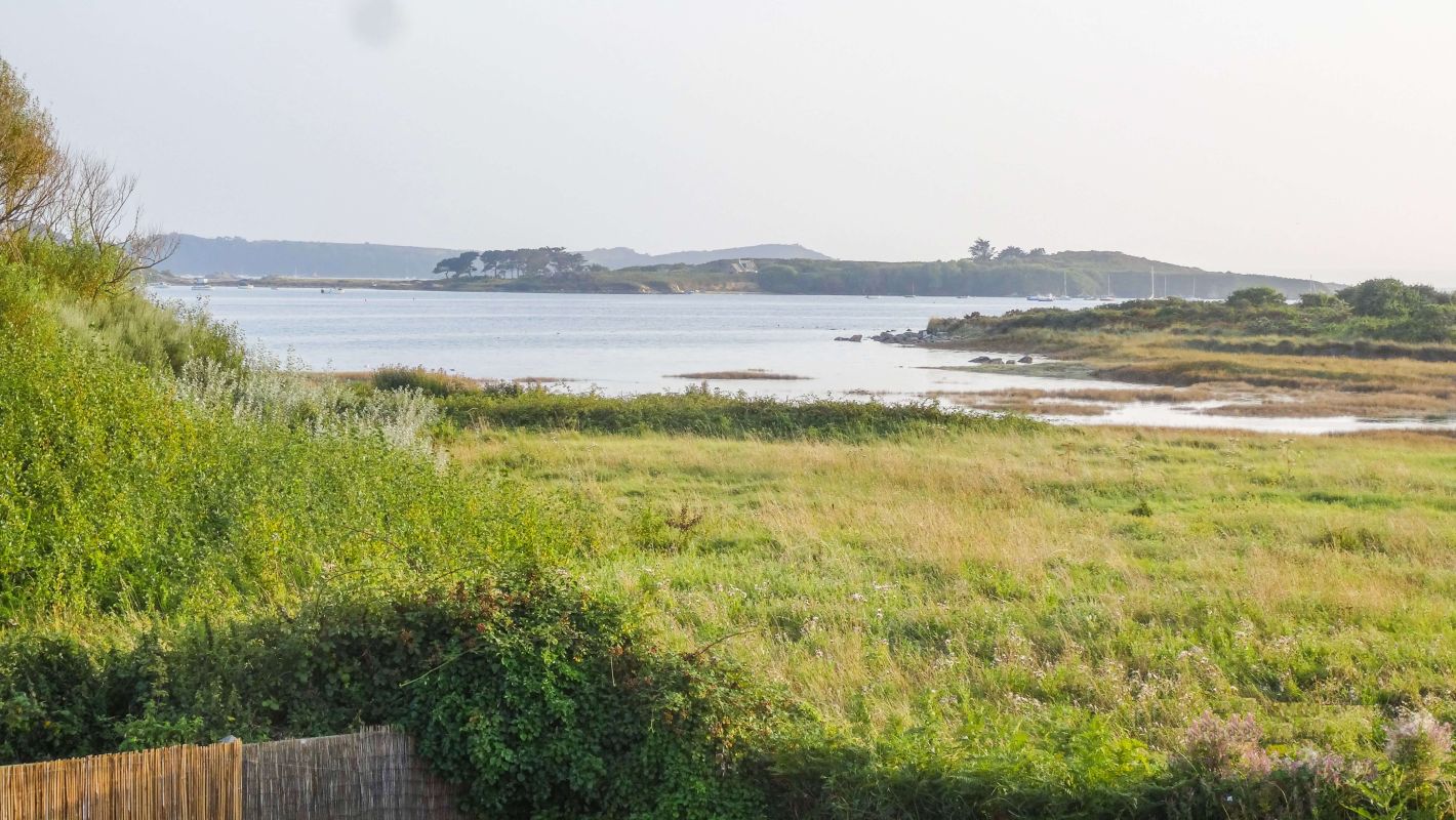 b9a3ae319948b4cc3b812783daea6184