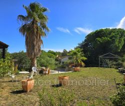 A louer GîTE  MONTESQUIEU DES ALBERES Village