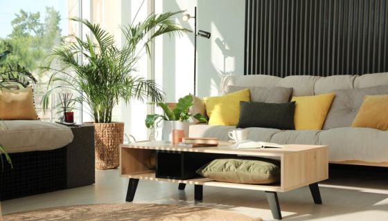 For rent: 4-room apartment, 107 m², terrace, Bayonne