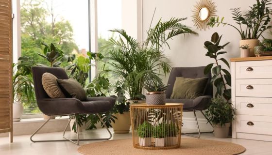 For rent: 4-room apartment, 85 m², terrace, seaside, Boulogne-sur-Mer