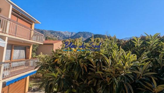Studio apartment for rent, 31 m², Vernet-les-Bains