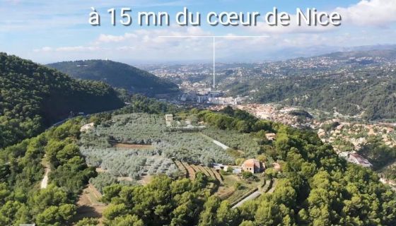 A louer PENTHOUSE DE PRESTIGE T6 PIEDS DANS L'EAU LA TRINITE