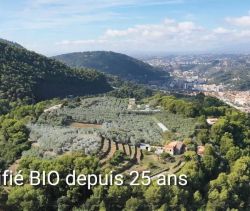 A louer PENTHOUSE DE PRESTIGE T6 PIEDS DANS L'EAU LA TRINITE