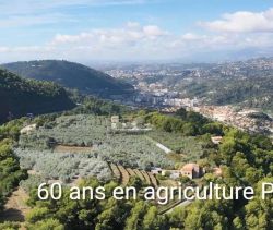 A louer PENTHOUSE DE PRESTIGE T6 PIEDS DANS L'EAU LA TRINITE