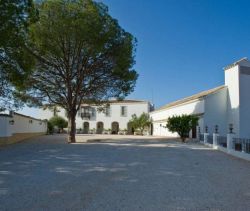 A louer PENTHOUSE  1 618 M2 TERRASSE BORD DE MER MáLAGA