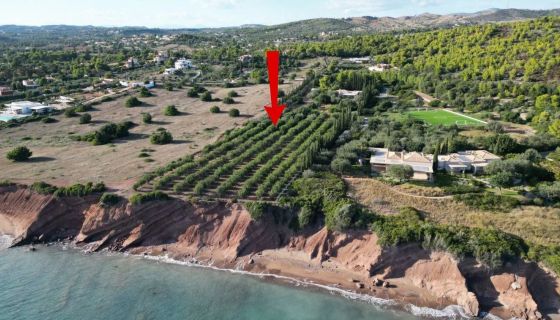 A louer PENTHOUSE DE PRESTIGE  PIEDS DANS L'EAU PETROTHALASSA