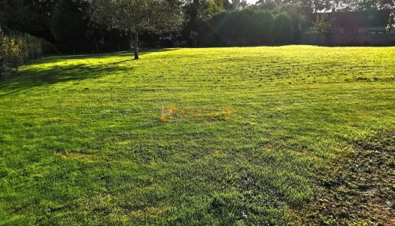 A vendre TERRAIN 1 799 M2  LONGUEVILLE SUR SCIE Commerces, médecins, écoles, 4 voies