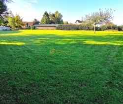 A vendre TERRAIN 1 799 M2  LONGUEVILLE SUR SCIE Commerces, médecins, écoles, 4 voies