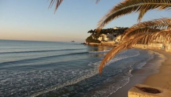 A louer APPARTEMENT T2 43 M2 TERRASSE BORD DE MER LA SEYNE SUR MER