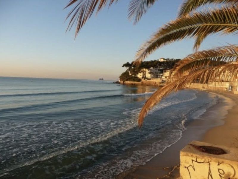 A louer APPARTEMENT T2 43 M2 TERRASSE BORD DE MER LA SEYNE SUR MER