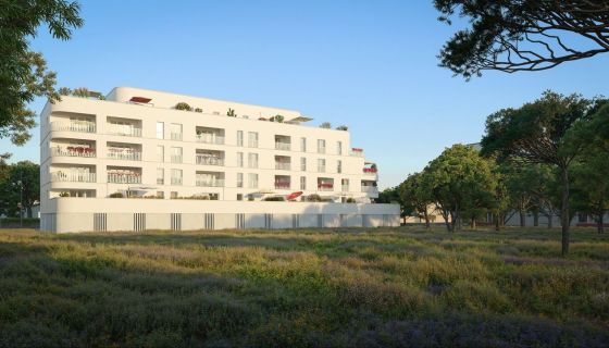 A louer APPARTEMENT T2 35 M2 BORD DE MER LA SEYNE SUR MER