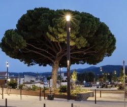 A louer APPARTEMENT DE PRESTIGE T4 82 M2 BORD DE MER BORMES LES MIMOSAS