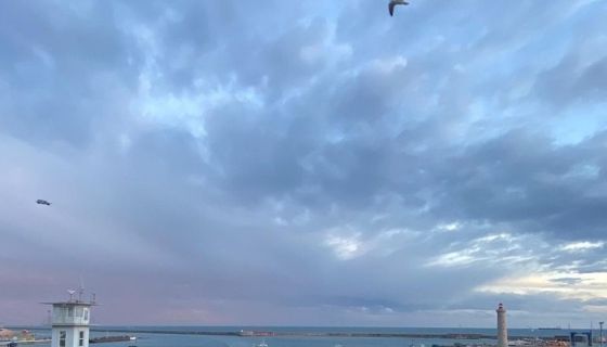 A louer APPARTEMENT T2 38 M2 TERRASSE BORD DE MER SETE