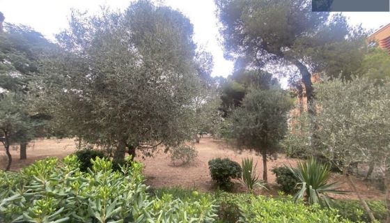 A louer APPARTEMENT NEUF T3 56 M2 BORD DE MER SETE