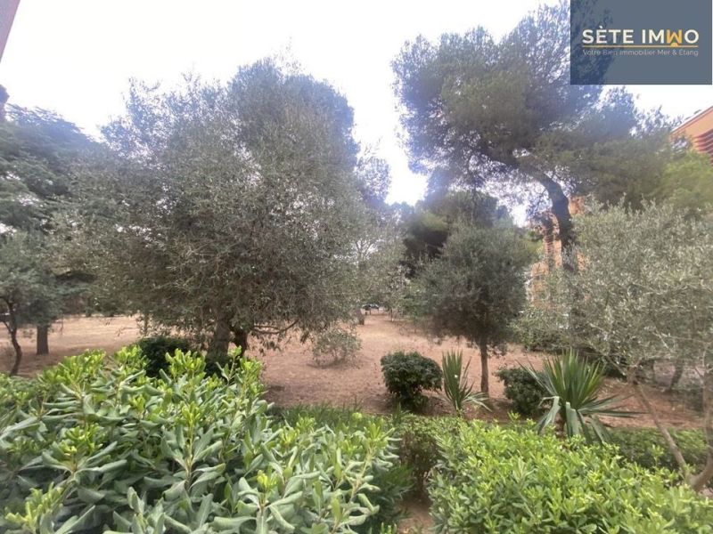 A louer APPARTEMENT NEUF T3 56 M2 BORD DE MER SETE