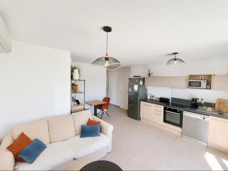 A louer APPARTEMENT T2 46 M2 TERRASSE  CASTELNAU LE LEZ