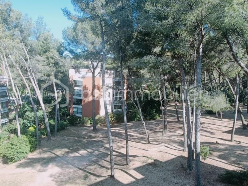 A louer APPARTEMENT T3 67 M2 BORD DE MER LA SEYNE SUR MER