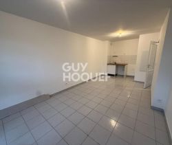 A louer APPARTEMENT T2 40 M2 TERRASSE  PERPIGNAN