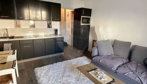 A louer STUDIO  27 M2 TERRASSE VUE MER CANNES