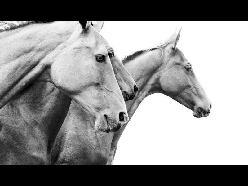 For rent: 6-room house, 197 m², Eyguières