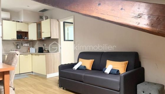 A louer APPARTEMENT T2 34 M2 BORD DE MER CANNES