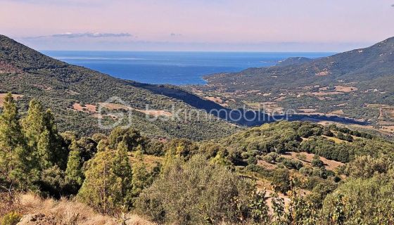 A louer MAISON  4 PIECES 150 M2 BORD DE MER PROPRIANO