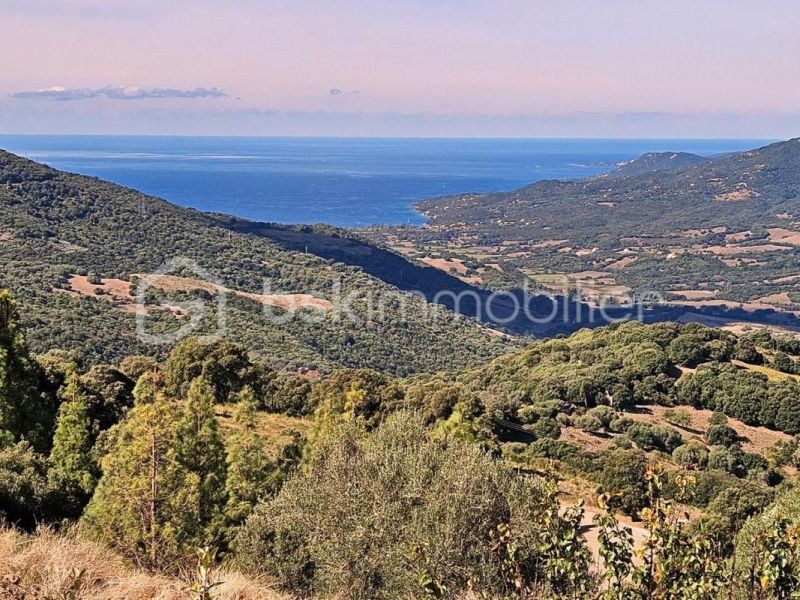 A louer MAISON  4 PIECES 150 M2 BORD DE MER PROPRIANO