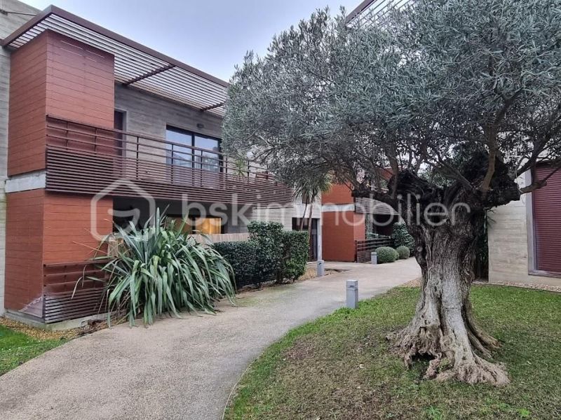 For rent: 1-bedroom apartment, 42 m², with terrace, Castelnau-le-Lez