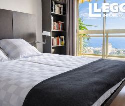 A louer APPARTEMENT DE PRESTIGE T2 56 M2 TERRASSE VUE MER NICE
