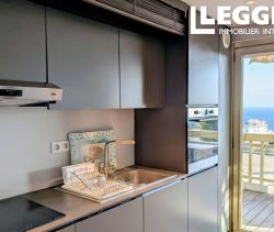 A louer APPARTEMENT DE PRESTIGE T2 56 M2 TERRASSE VUE MER NICE