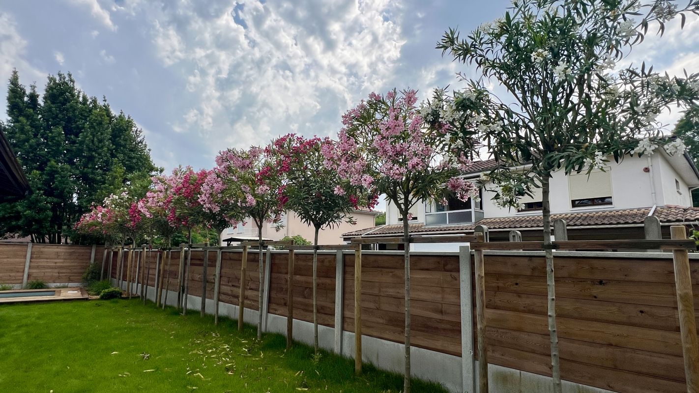 cd7872f9551fd187dd7c9eebde03b9fe