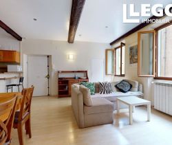 For rent: 2-bedroom apartment, 59 m², beachfront, Nice