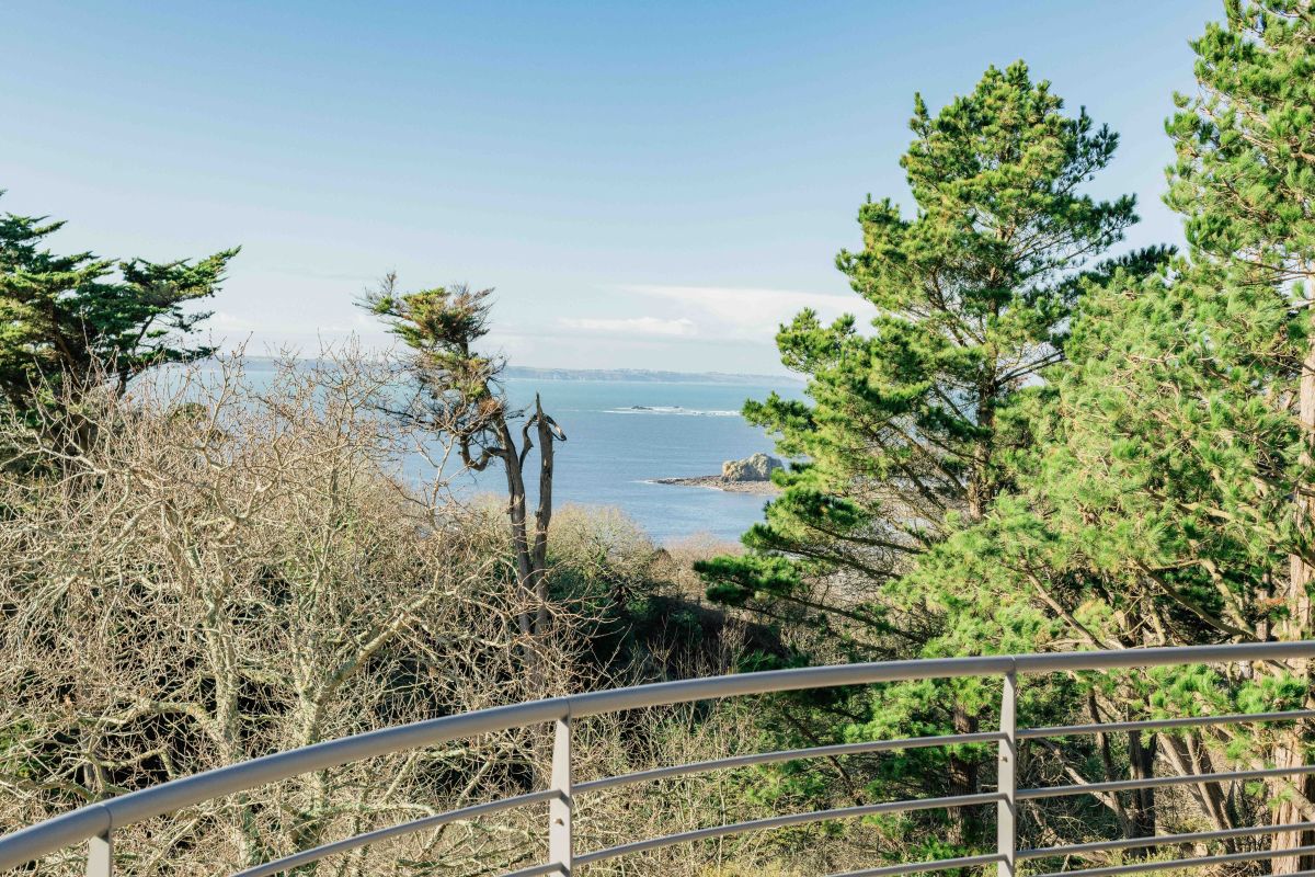 6e9b8408a43489a15e5886e0859caca5