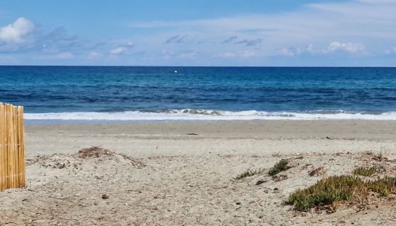 A vendre PROPRI&Eacute;T&Eacute; D'EXCEPTION SUR Le secteur  MARANA  PIEDS  DANS L EAU LUCCIANA