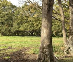 Apartment for rent, 6 rooms, 110 m², Nantes